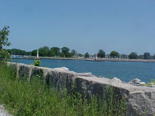 picture
