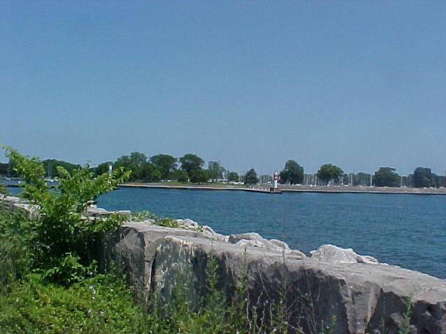 picture