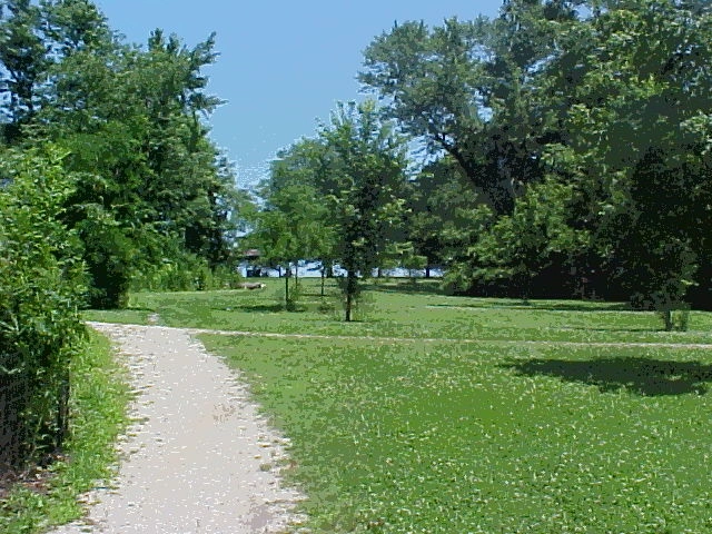 picture