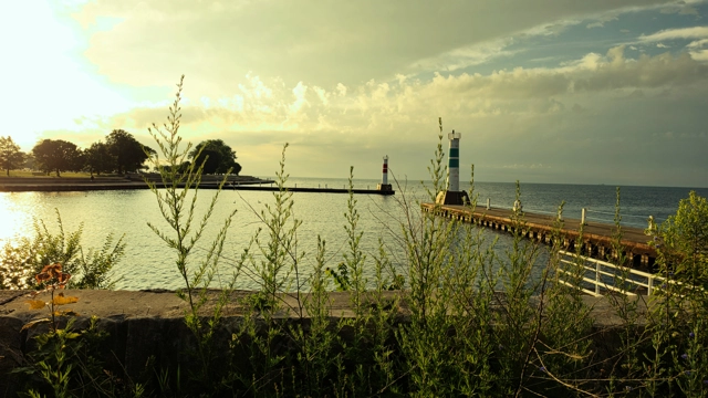 picture