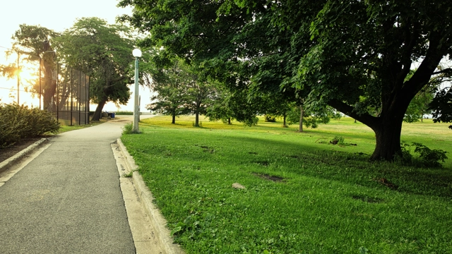 picture
