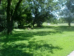 picture