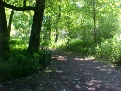 picture